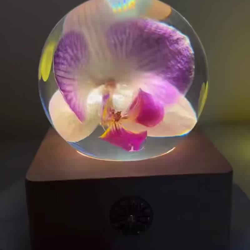 優雅粉紅蘭花|手工樹脂水晶球小夜燈 - 摆饰 - 树脂 粉红色