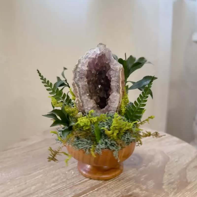 岩石皮 原生态 紫红色 紫水晶  窝窝晶镇。 微景观永生叶材 - 植栽/盆栽 - 水晶 紫色
