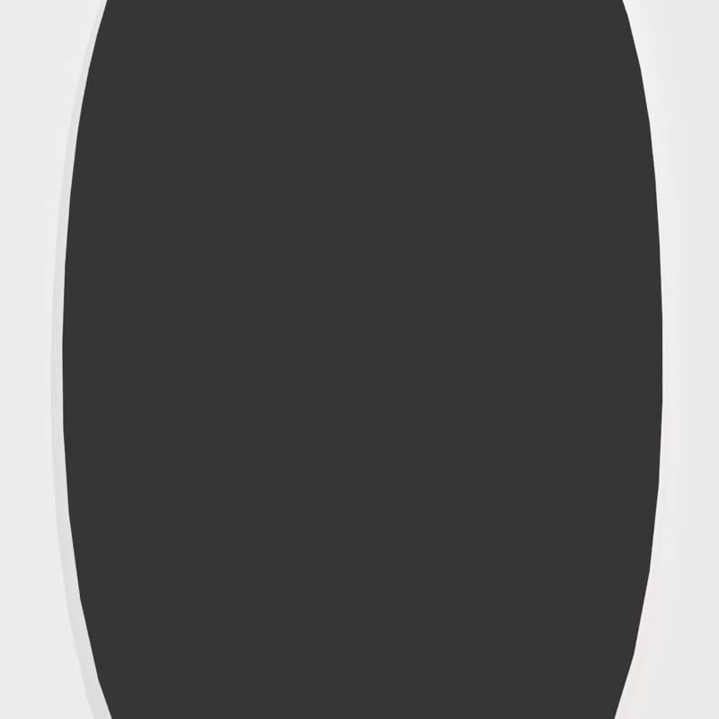 Hipporizz Mirra 镜面磁吸支架壳 17系列 - 手机壳/手机套 - 塑料 多色