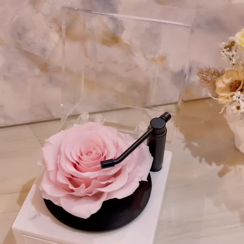 永生花蓝牙音响/生日花礼/星座幸运色定制 - 干燥花/捧花 - 其他材质 粉红色