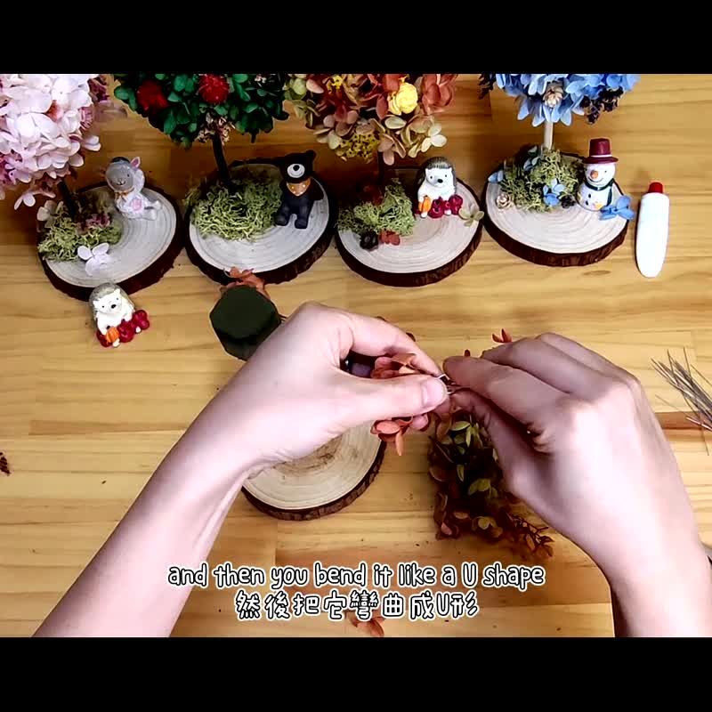【圣诞礼盒】四季永生花树DIY材料包/含在线教学/爱手作 - 植栽 - 植物．花 多色