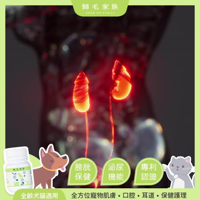 【归毛家族】Good宝系列宠物保健品－泌尿宝1入组 - 其他 - 其他材质 