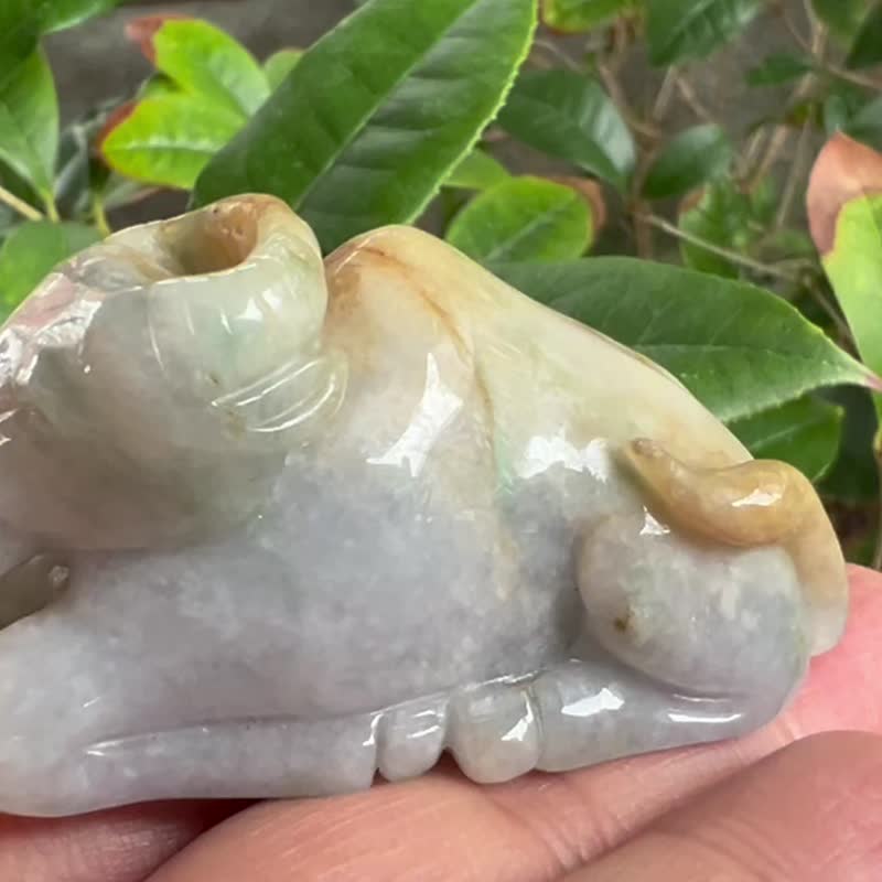 天然A货三彩翡翠牛 摆件 三彩 福禄寿 春带彩 缅甸A货翡翠 圆雕 - 摆饰 - 玉石 多色