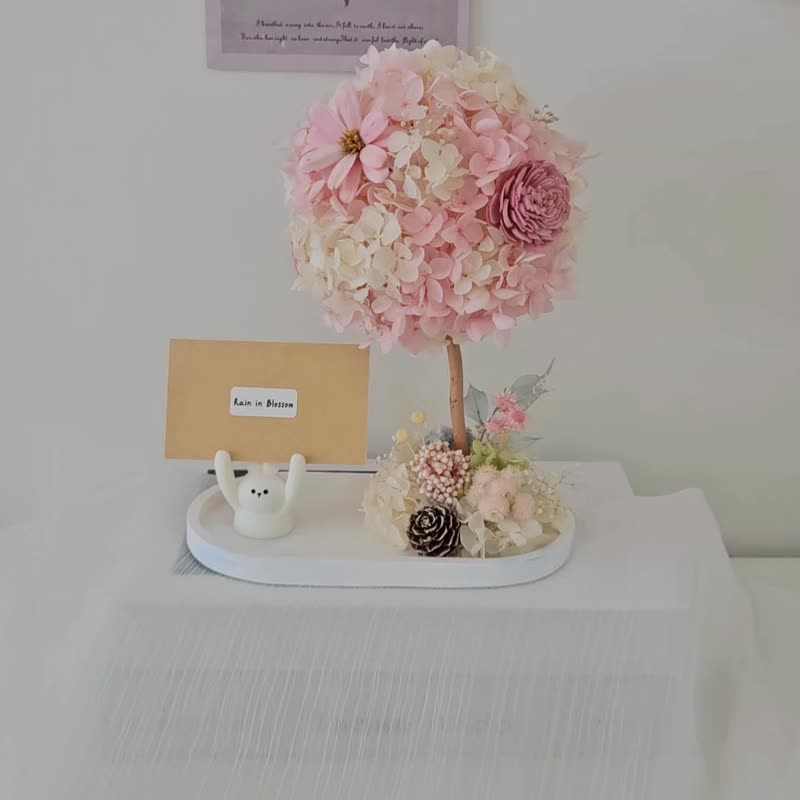 粉白绣球花树扩香名片座 祝贺花礼 开幕花礼 - 干燥花/捧花 - 植物．花 粉红色