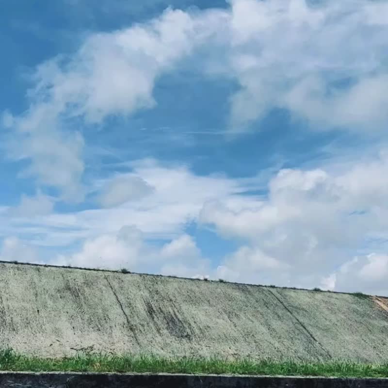 100种植物系列纯棉手巾   结晶款 - 手帕/方巾 - 棉．麻 白色