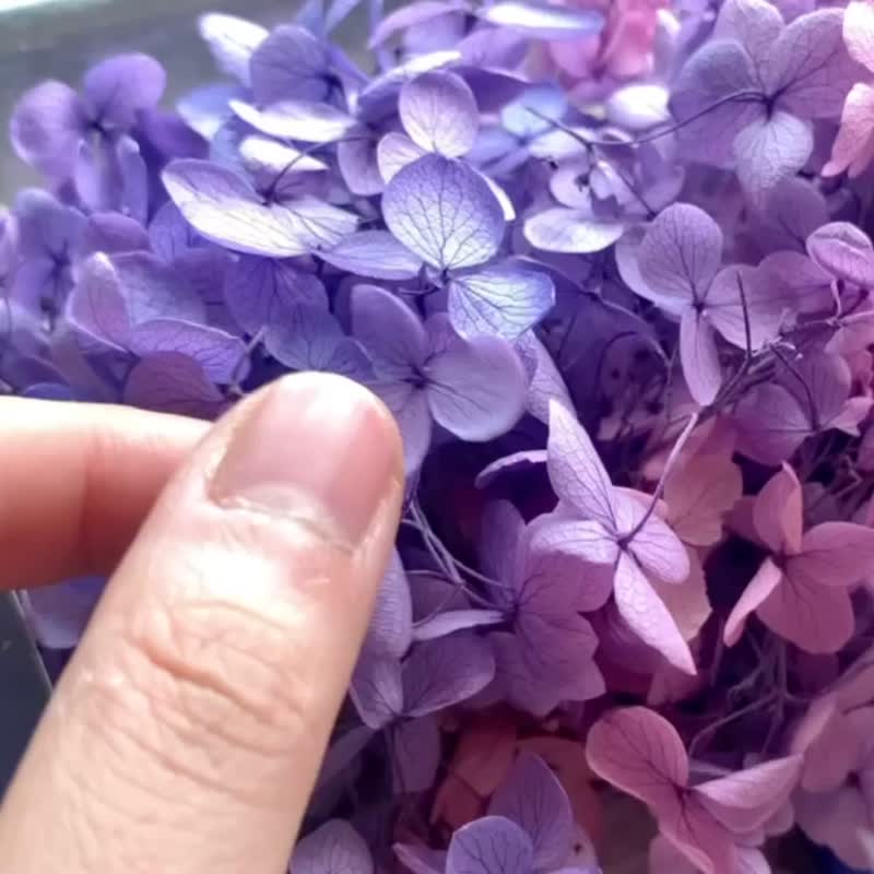 日本进口永生花/绣球花不规则耳环/925銀/無痛耳夾 - 耳环/耳夹 - 植物．花 蓝色