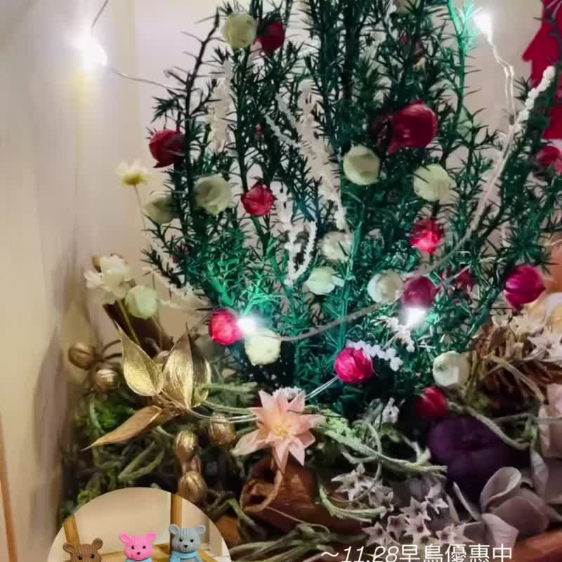 2025圣诞新品-圣诞熊屋-永生圣诞树 - 干燥花/捧花 - 植物．花 多色
