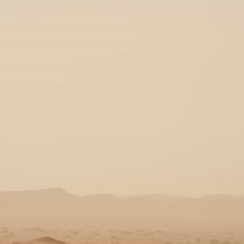 HAGW x Bali Collection 重磅绒布帽T-No Bad Days-Grey - 中性连帽卫衣/T 恤 - 棉．麻 