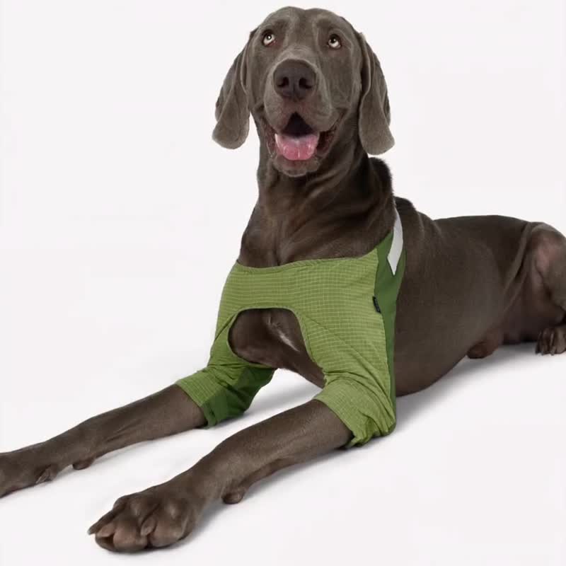 bump up【Elbow Pad】宠物狗狗中大型犬护肘衣服时尚轻薄透气 - 衣/帽 - 尼龙 灰色