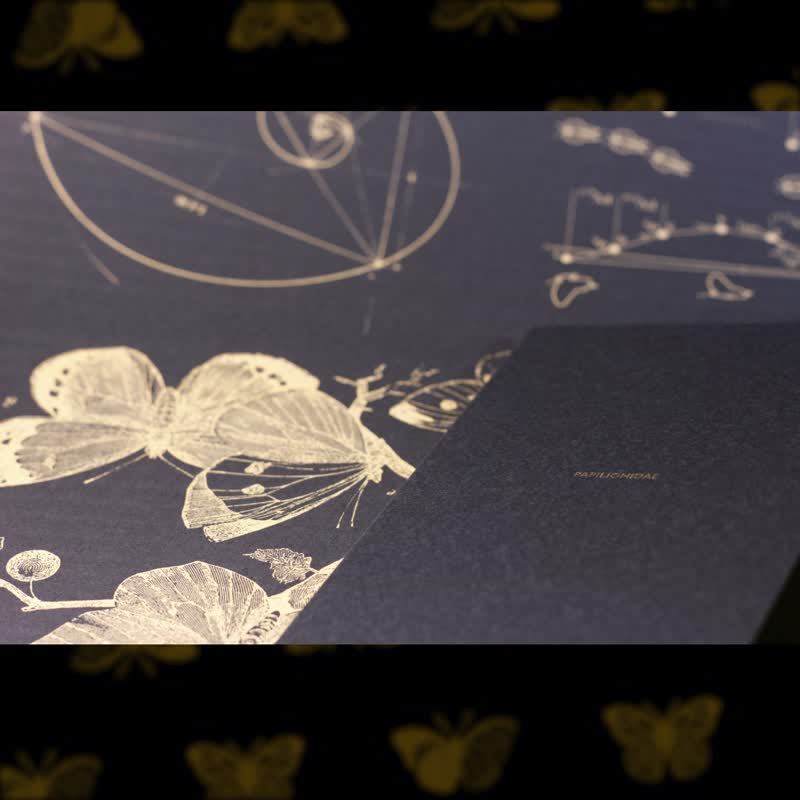 黑系列3.0 | 台湾凤蝶 | 精品立体卡 | 附同系列酷卡、外包装纸 - 卡片/明信片 - 纸 黑色