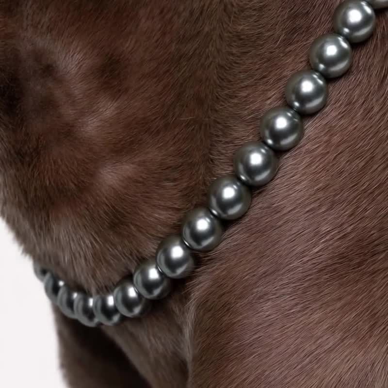 Halo - 人宠通用轻奢水晶珍珠项链全尺寸猫狗礼品 by bump up - 项圈/牵绳 - 水晶 