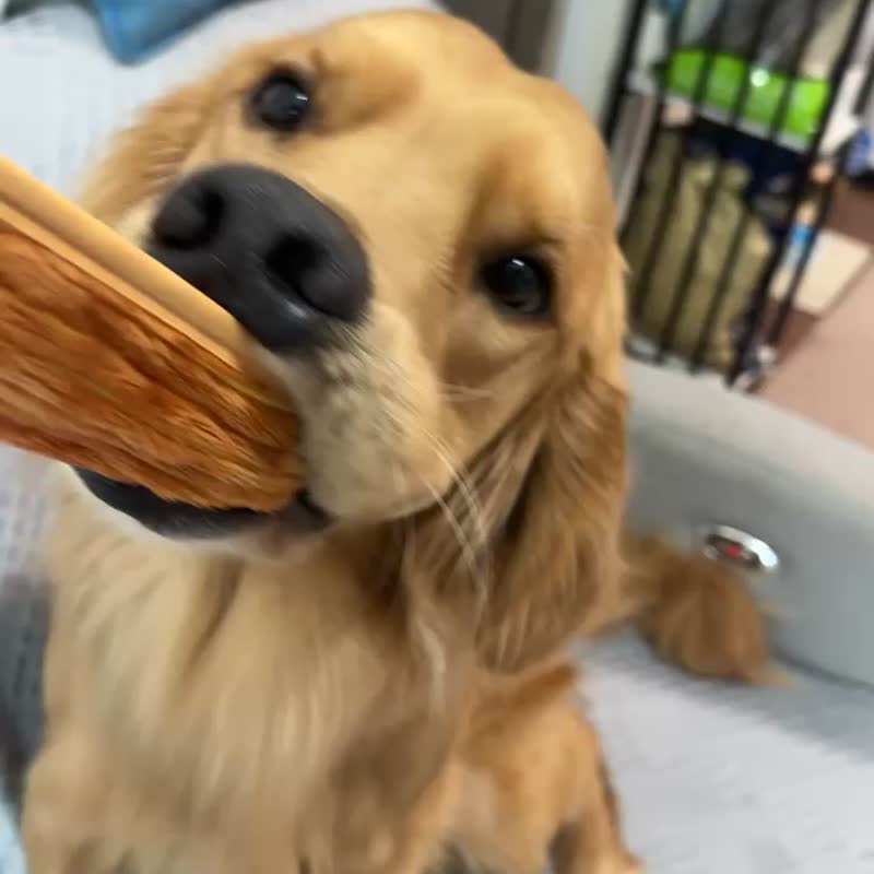 牛角包连纸袋藏食玩具 - 玩具 - 棉．麻 黄色