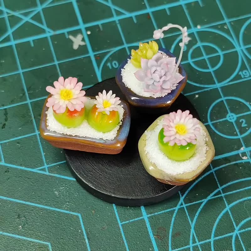 微縮黏土毛漢尼石蓮花多肉盆栽 - 植栽/盆栽 - 粘土 多色