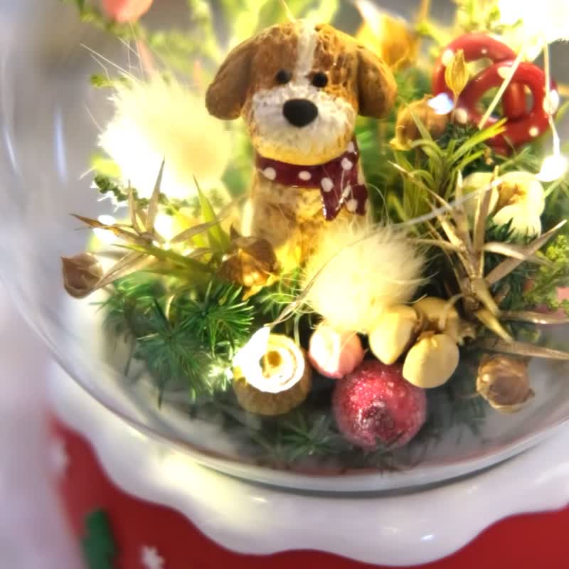 材料包卖场 圣诞狗狗灯串水晶球材料包 附卡片 - 植栽 - 植物．花 绿色