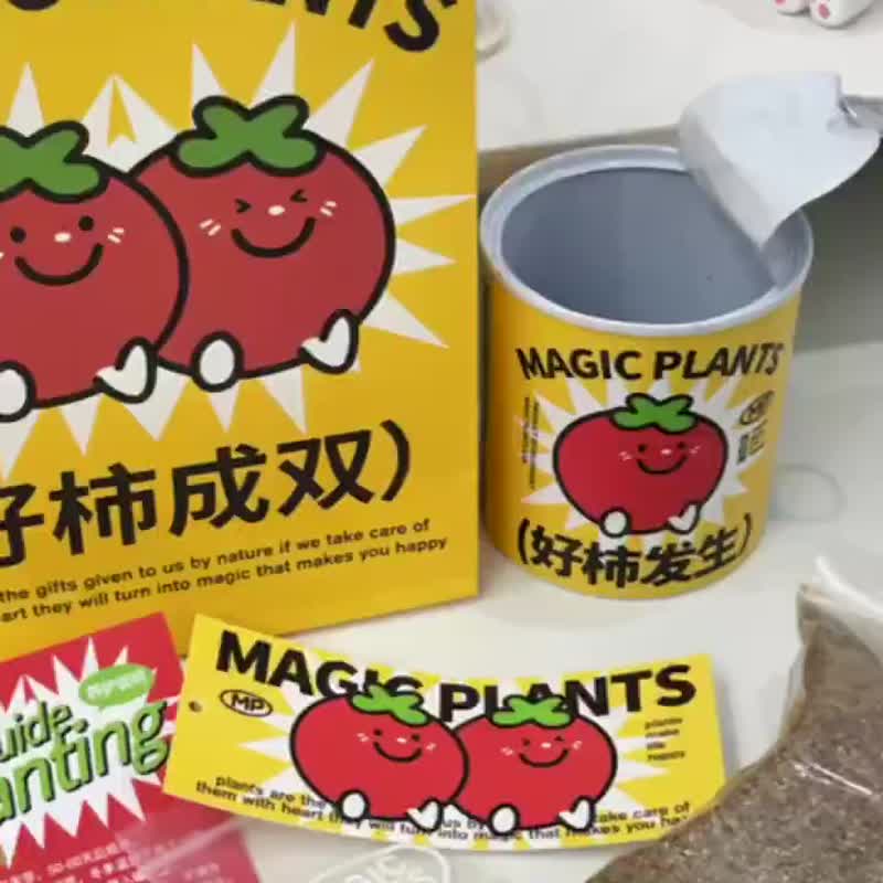 神奇植物种子罐头室内绿植办公室摆件好养盆栽创意礼物 - 植栽/盆栽 - 植物．花 多色