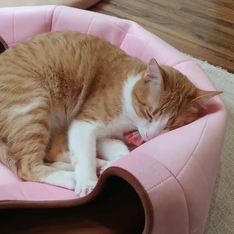躲猫猫 - 隐密型猫窝 森林小木屋  2~3 猫 - 床垫/笼子 - 其他人造纤维 白色