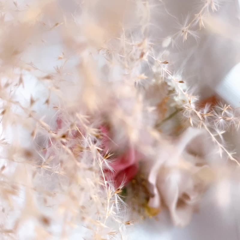 永生花 干燥花 相框 新婚 情人节 母亲节 纪念日 礼物 生日 万用 - 干燥花/捧花 - 植物．花 多色
