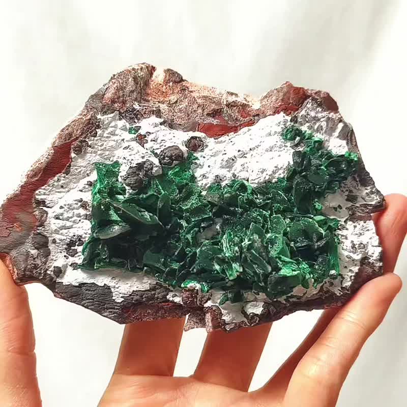 稀有 丝绒孔雀石 事业成功 心轮 疗愈 原矿摆件 收藏 单品 礼物 - 摆饰 - 宝石 绿色