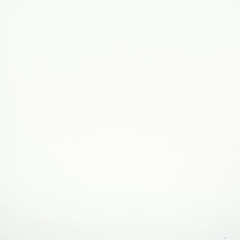 黑色花朵透明长袖上衣 / 罩衫 - 女装上衣 - 棉．麻 黑色