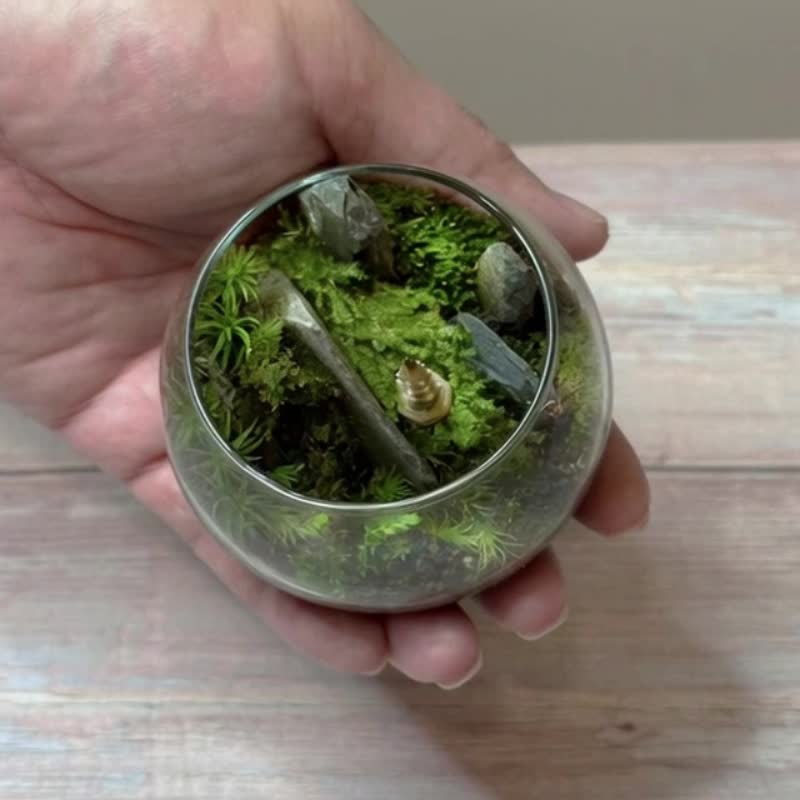 隐世禅缘 / 超迷你掌上型手工微景观生态盆 - 植栽/盆栽 - 植物．花 