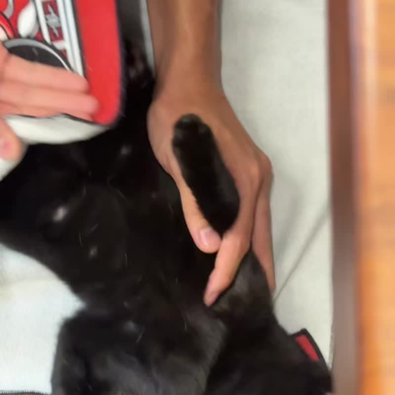 【45x45cm 魔术百贴布】自黏收纳袋 相机保护包布 防滑棋牌台垫 - 相机包/相机袋 - 其他人造纤维 多色