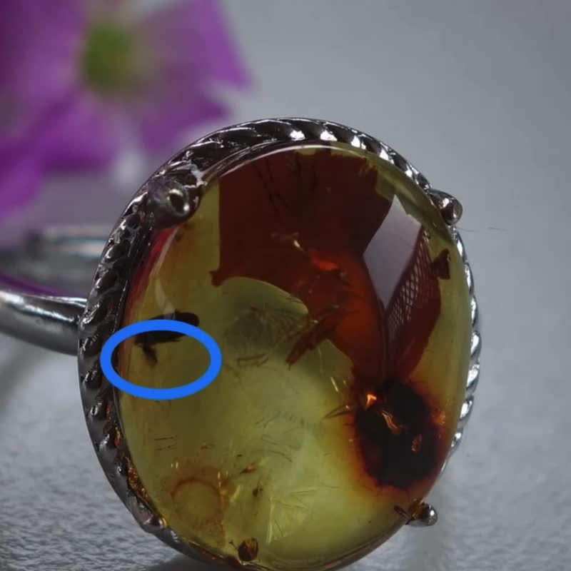 天然虫珀 琥珀 波罗的海 金珀 戒指 2.7克 植物珀 花珀 非二代琥 - 戒指 - 半宝石 