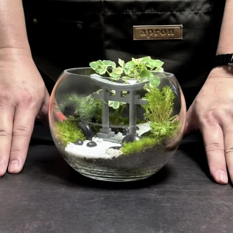 侘寂之径 / 手工定制化微景观生态盆 - 植栽/盆栽 - 植物．花 