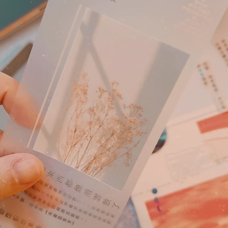 【守夜人】透明雾面 PET 胶带 - 纸胶带 - 塑料 