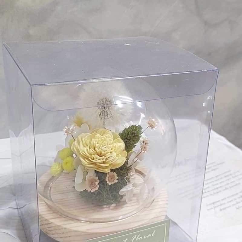 蒲公英永生钟罩球 生日礼物 毕业礼物 交换礼物 - 干燥花/捧花 - 植物．花 黄色