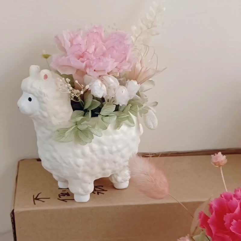 毕业花束礼物 粉紫永生康乃馨盆花桌花  生日毕业工商企业赠品七 - 干燥花/捧花 - 植物．花 