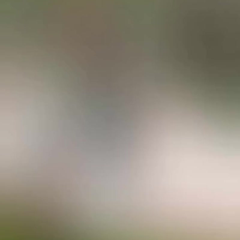 Bird & Bone 发簪 04 100% 手工制作，聚合物黏土材质 - 发饰 - 其他材质 灰色