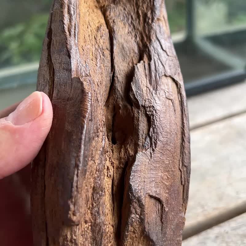 加里曼丹 野生沉香老料 285公克 沉香摆件 【沉水级】 星洲系 - 摆饰 - 木头 咖啡色