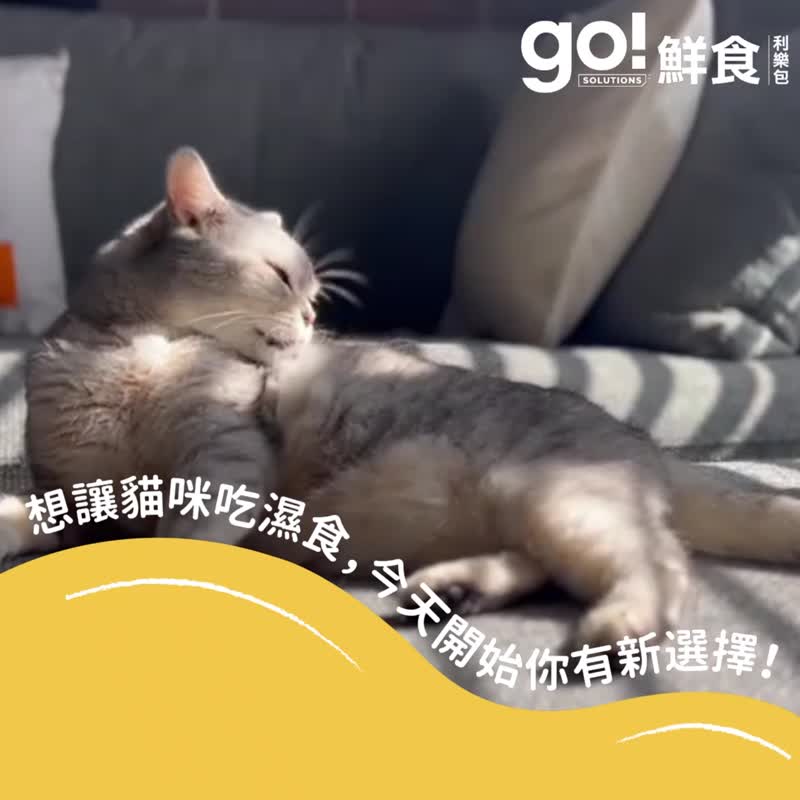 【猫主食罐】go! 无谷放牧羊嫩丝 鲜食餐包 猫罐 高含肉量 - 猫罐头/鲜食 - 新鲜食材 