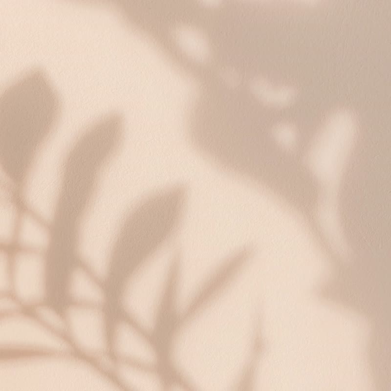 【圣诞礼物】可可Cacao猪鬃按摩梳 | 潘朵拉的美妆盒 - 彩妆刷具/镜子/梳子 - 塑料 