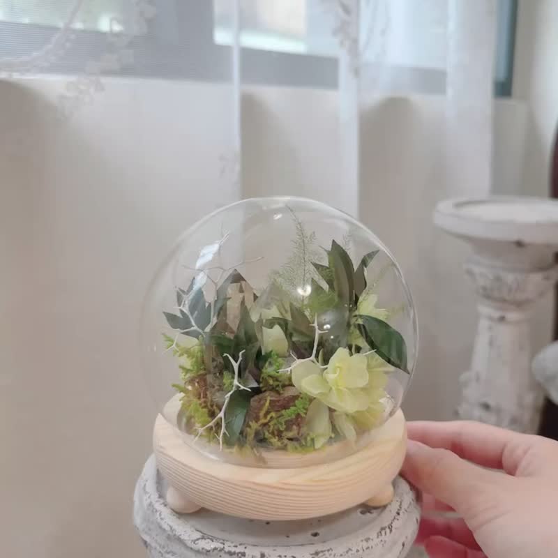 招财吸引力 巴西黄水晶 微景观玻璃罩_不用浇水的永生叶材 - 植栽/盆栽 - 水晶 黄色