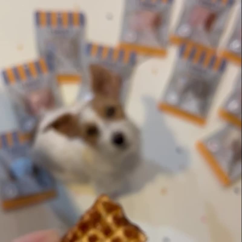 天然手作 宠物零食【五包超值组】－犬猫皆适 - 猫罐头/鲜食 - 新鲜食材 橘色