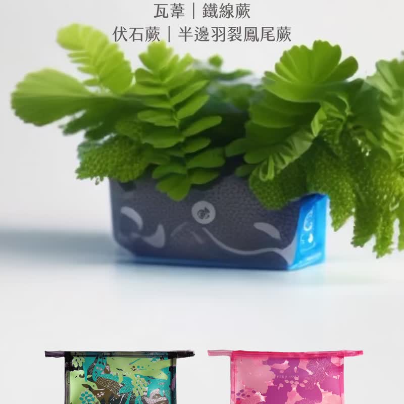 蕨透洗漱收纳袋- 伏石蕨 | 蕨类 盥洗 牙刷 收纳袋 收纳包 毕业 - 化妆包/杂物包 - 防水材质 蓝色