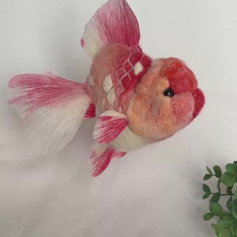 摇曳的羊毛毡金鱼 -樱花荷兰狮头- - 玩偶/公仔 - 羊毛 粉红色