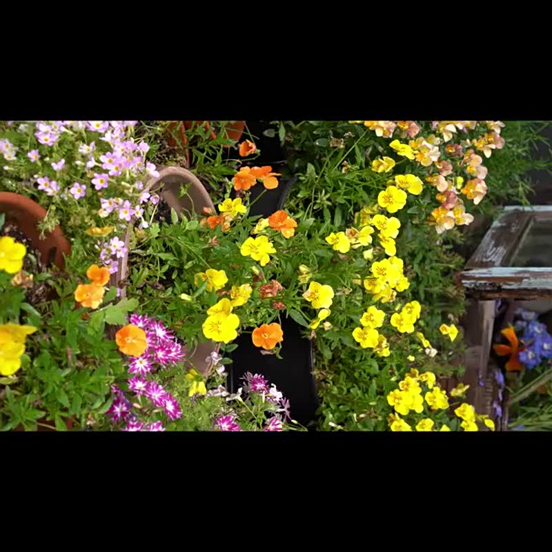 白色暗紋提花 夏日的詩 圓領掛脖洋裝 氣質通勤系帶棉麻連衣裙 - 洋装/连衣裙 - 棉．麻 白色