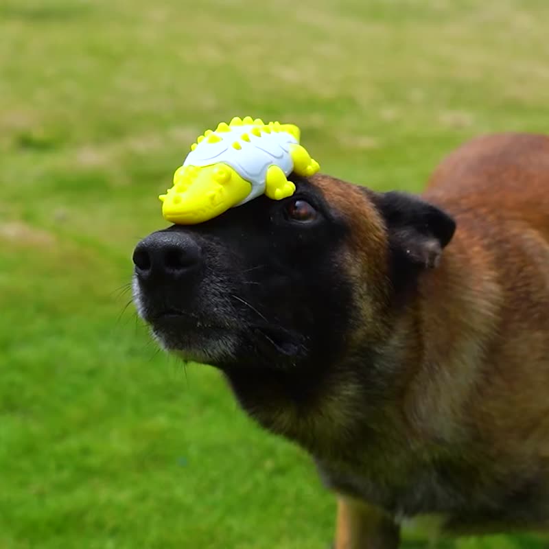 柴犬大学 宠物耐咬洁牙玩具 耐咬玩具 发声玩具 狗玩具 磨牙玩具 - 玩具 - 其他材质 多色