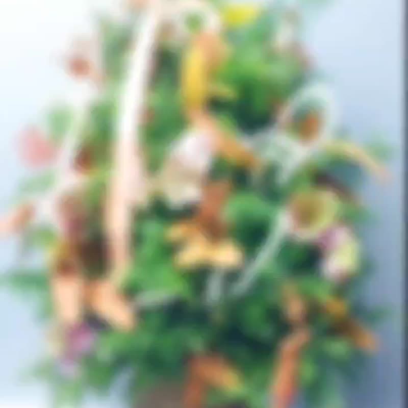 新鲜雪松圣诞树(限台北县市) - 摆饰 - 植物．花 