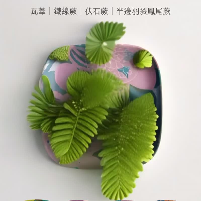 蕨景环保小碟4.0 - 台湾水龙骨 | 礼物 小碟 盘 餐具 吐骨 小碗 - 盘子/餐盘/盘架 - 环保材料 蓝色