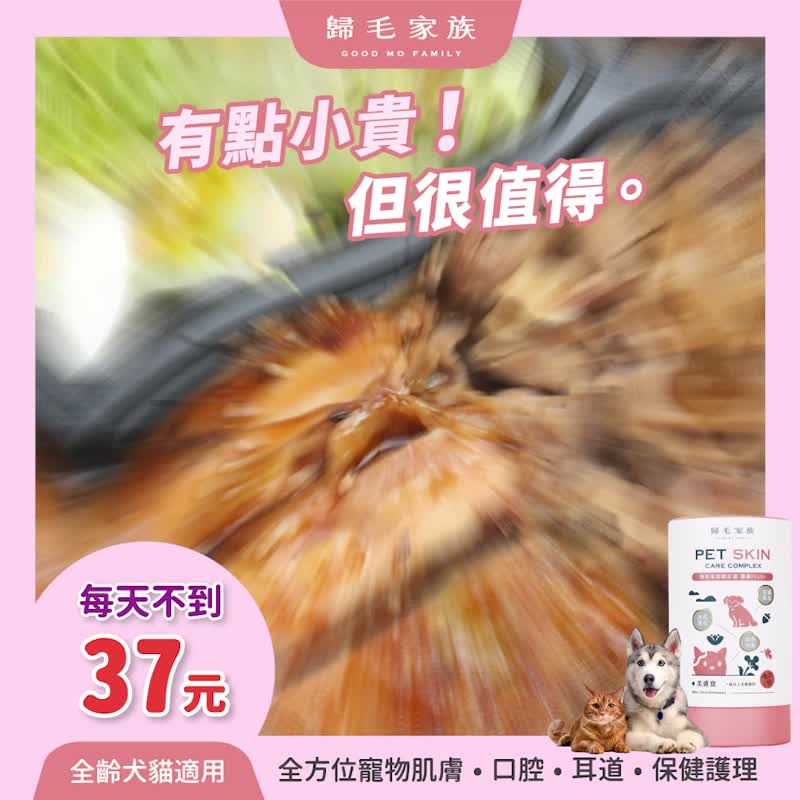 【归毛家族】Good宝系列宠物保健品－美肤宝4入组(二代升级) - 其他 - 其他材质 