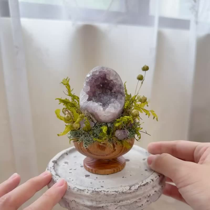 仙仙紫水晶 小恐龙大嘴 窝窝晶镇。 微景观永生叶材 绿植栽 - 植栽/盆栽 - 水晶 紫色