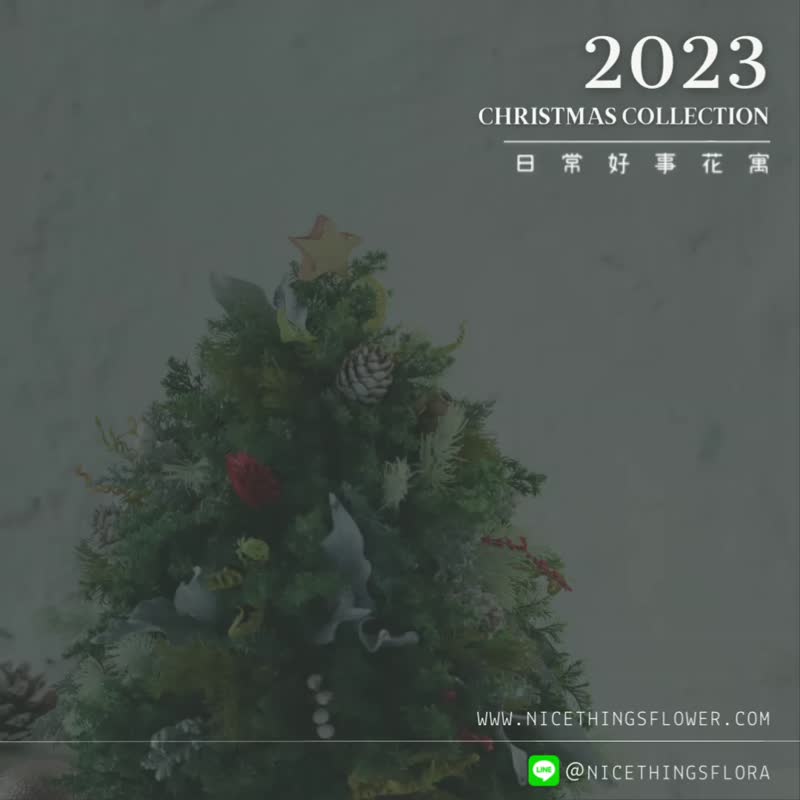 小资澎澎永生圣诞花圈_附礼盒包装 - 干燥花/捧花 - 植物．花 