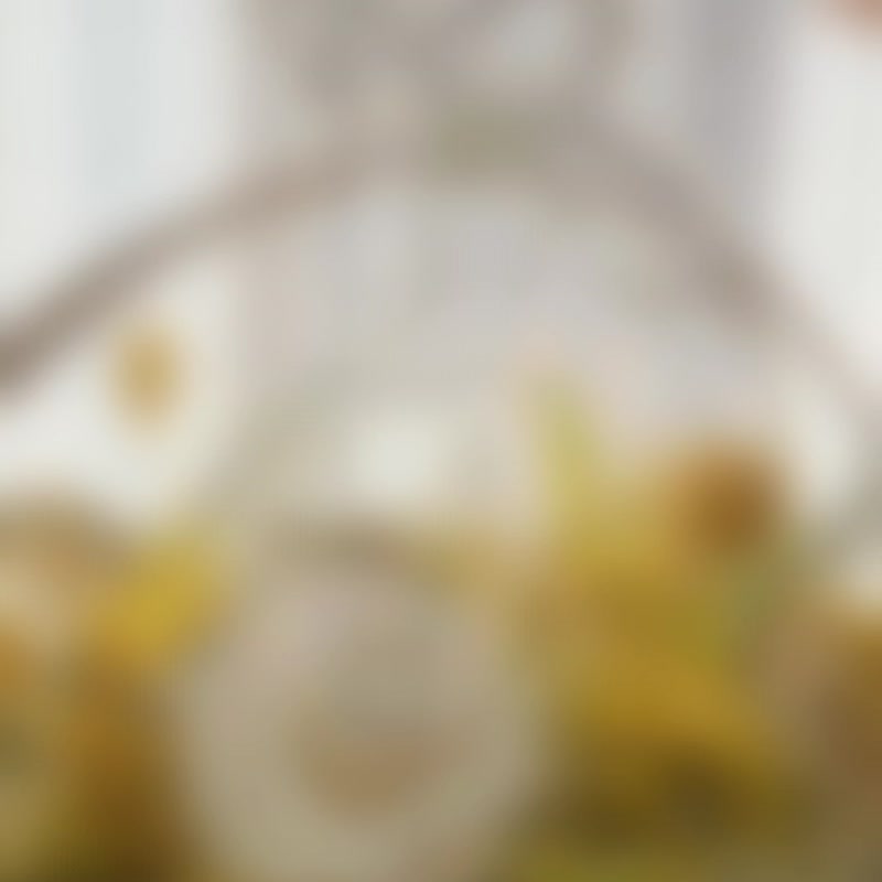 逗留 - 天空蓝永生花 小花园系列开幕花篮 升迁礼物 - 植栽 - 植物．花 黄色