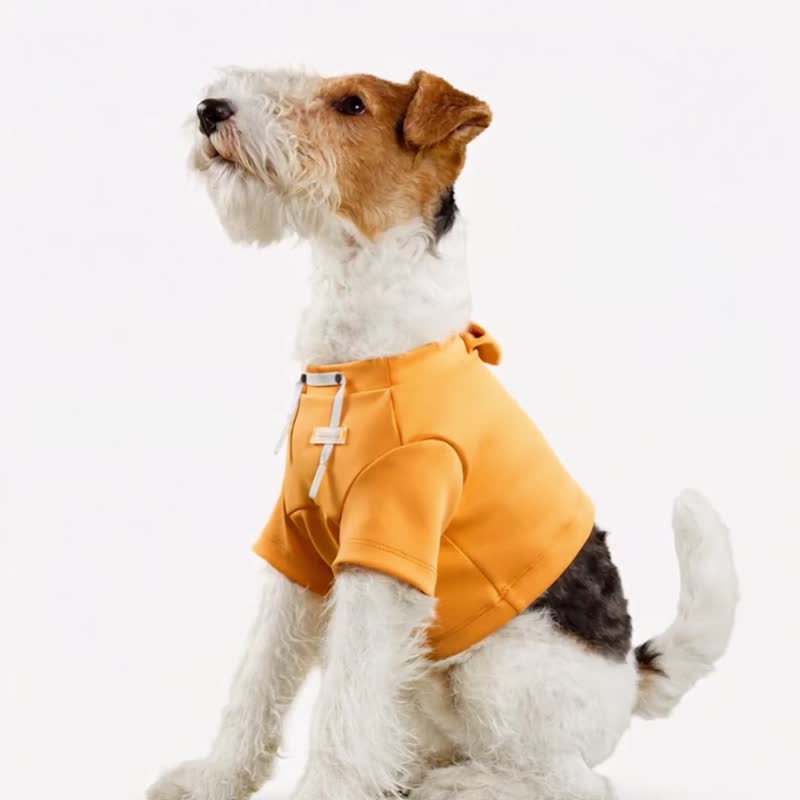 bump up【Crop Hoodie】高腰卫衣宠物狗狗衣服 - 衣/帽 - 聚酯纤维 卡其色