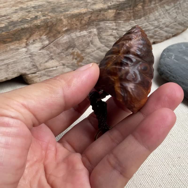 卷卷瘤花贝壳 肖楠木吊饰 钥匙圈 背包挂饰 - 钥匙链/钥匙包 - 木头 多色