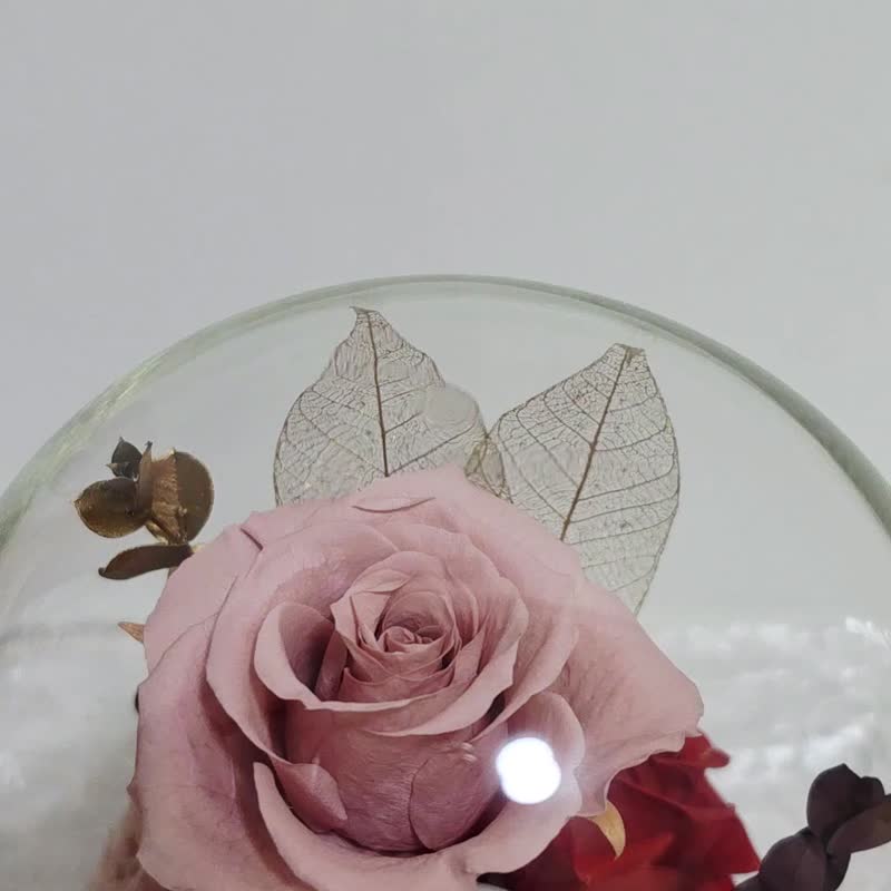 皎月有花 入厝礼  永生花玻璃招财花盅 - 干燥花/捧花 - 植物．花 