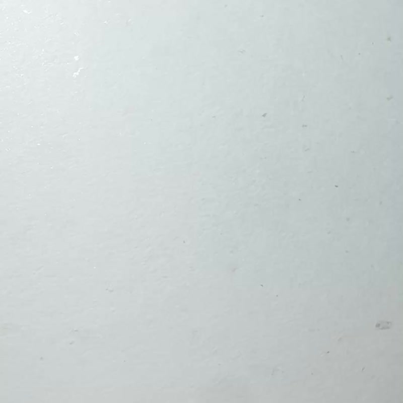 Petite Fine - 珍珠项链_现货限量_三种珍珠尺寸选择_母亲节礼盒 - 项链 - 珍珠 白色